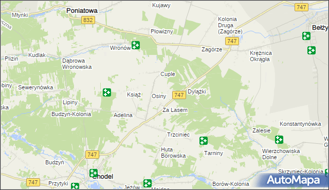 mapa Malinowszczyzna gmina Bełżyce, Malinowszczyzna gmina Bełżyce na mapie Targeo