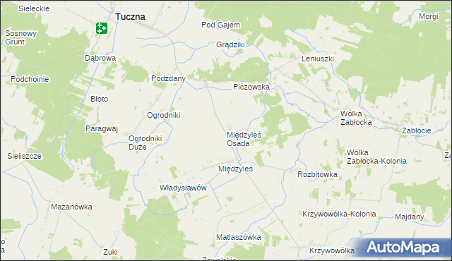 mapa Międzyleś Osada, Międzyleś Osada na mapie Targeo