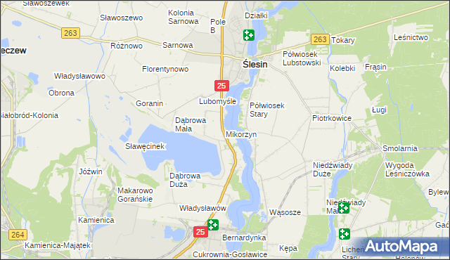 mapa Mikorzyn gmina Ślesin, Mikorzyn gmina Ślesin na mapie Targeo