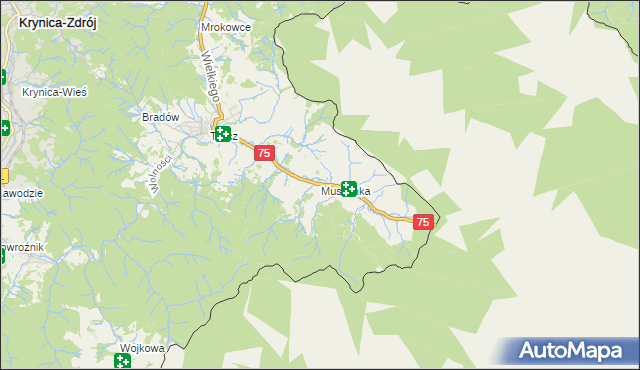 mapa Muszynka, Muszynka na mapie Targeo