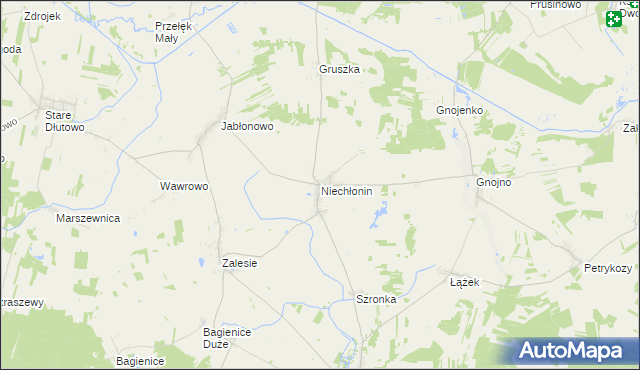 mapa Niechłonin, Niechłonin na mapie Targeo