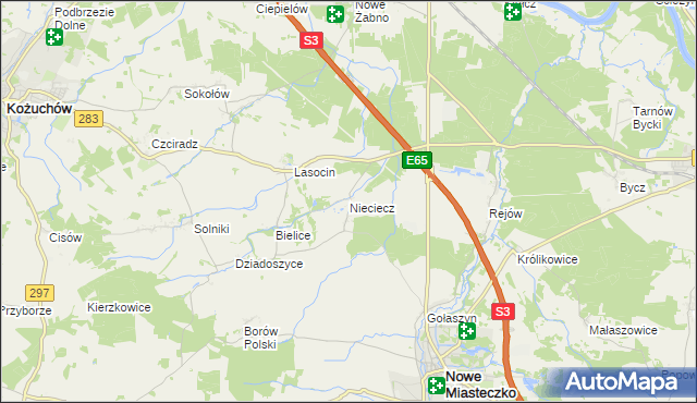 mapa Nieciecz gmina Nowe Miasteczko, Nieciecz gmina Nowe Miasteczko na mapie Targeo