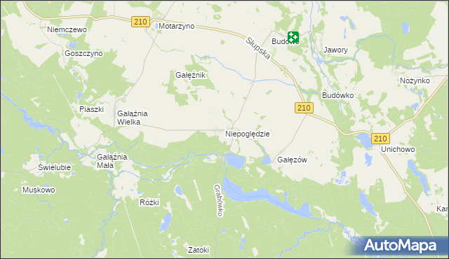 mapa Niepoględzie, Niepoględzie na mapie Targeo