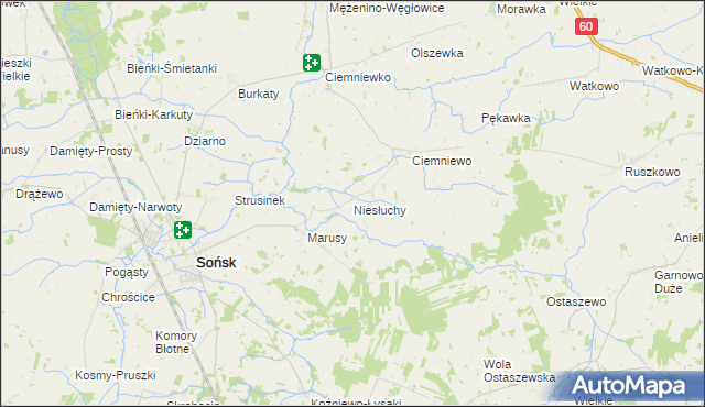 mapa Niesłuchy, Niesłuchy na mapie Targeo