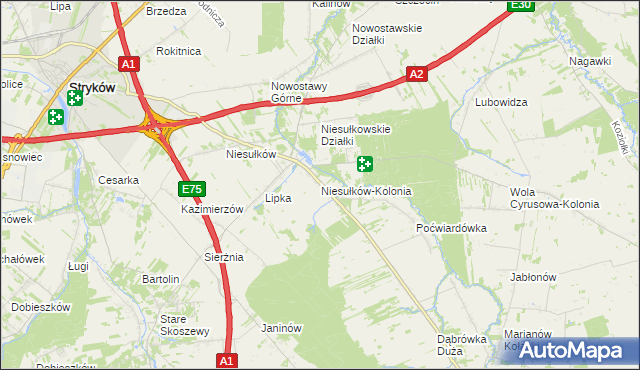 mapa Niesułków-Kolonia, Niesułków-Kolonia na mapie Targeo