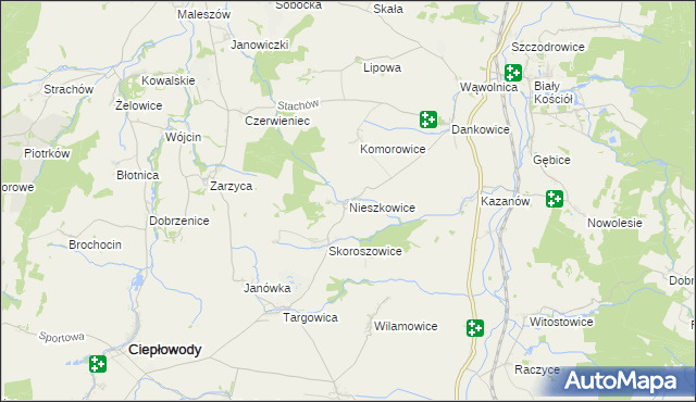 mapa Nieszkowice gmina Strzelin, Nieszkowice gmina Strzelin na mapie Targeo