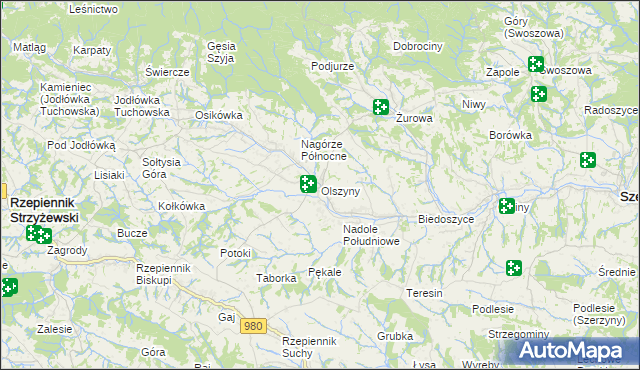 mapa Olszyny gmina Rzepiennik Strzyżewski, Olszyny gmina Rzepiennik Strzyżewski na mapie Targeo