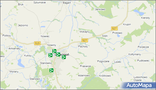 mapa Pachoły gmina Dzierzgoń, Pachoły gmina Dzierzgoń na mapie Targeo