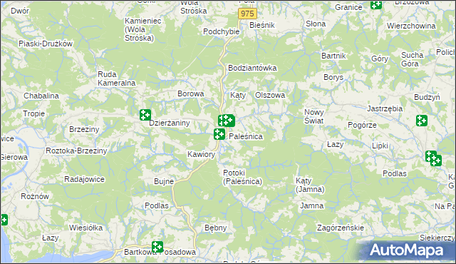 mapa Paleśnica, Paleśnica na mapie Targeo