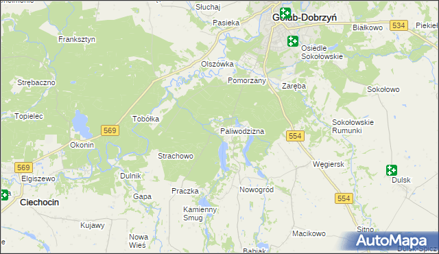 mapa Paliwodzizna, Paliwodzizna na mapie Targeo