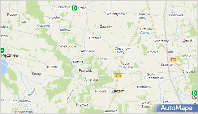 mapa Pałki gmina Zadzim, Pałki gmina Zadzim na mapie Targeo