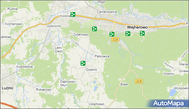 mapa Pętkowice gmina Wejherowo, Pętkowice gmina Wejherowo na mapie Targeo