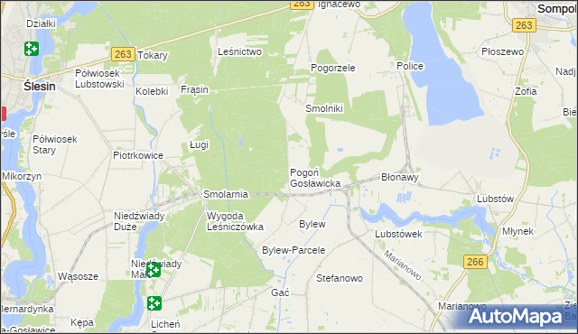 mapa Pogoń Gosławicka, Pogoń Gosławicka na mapie Targeo