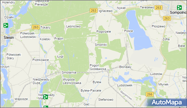 mapa Pogoń Lubstowska, Pogoń Lubstowska na mapie Targeo