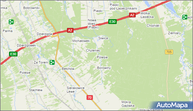 mapa Polesie gmina Nieborów, Polesie gmina Nieborów na mapie Targeo