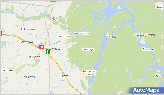 mapa Puszczyn gmina Koronowo, Puszczyn gmina Koronowo na mapie Targeo