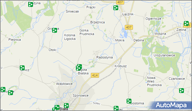 mapa Radostynia, Radostynia na mapie Targeo