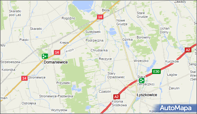 mapa Reczyce gmina Domaniewice, Reczyce gmina Domaniewice na mapie Targeo