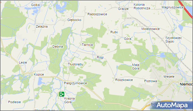 mapa Rogi gmina Niemodlin, Rogi gmina Niemodlin na mapie Targeo