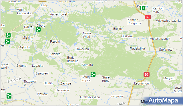 mapa Rokicina, Rokicina na mapie Targeo