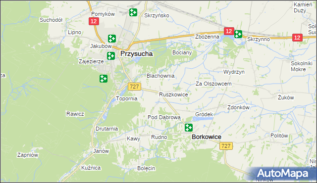 mapa Ruszkowice gmina Borkowice, Ruszkowice gmina Borkowice na mapie Targeo