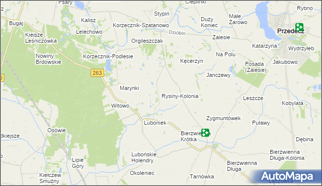 mapa Rysiny-Kolonia, Rysiny-Kolonia na mapie Targeo