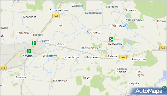 mapa Rzemieniewice gmina Szubin, Rzemieniewice gmina Szubin na mapie Targeo