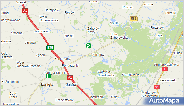 mapa Sokołów gmina Gostynin, Sokołów gmina Gostynin na mapie Targeo