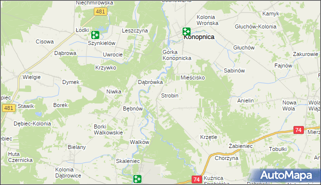 mapa Strobin, Strobin na mapie Targeo