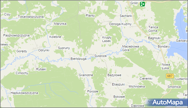mapa Suszcza, Suszcza na mapie Targeo