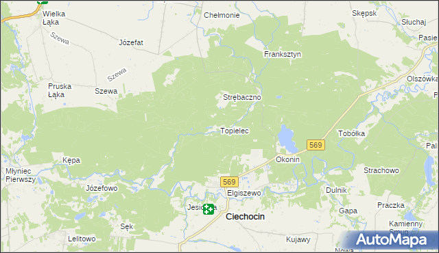 mapa Topielec, Topielec na mapie Targeo