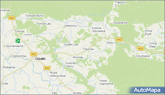 mapa Toporów gmina Gizałki, Toporów gmina Gizałki na mapie Targeo