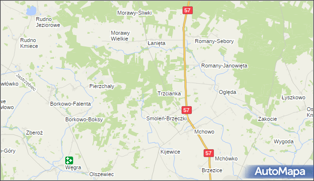 mapa Trzcianka gmina Przasnysz, Trzcianka gmina Przasnysz na mapie Targeo