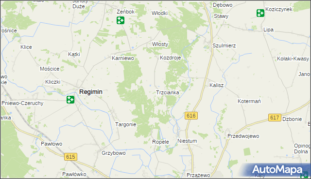 mapa Trzcianka gmina Regimin, Trzcianka gmina Regimin na mapie Targeo