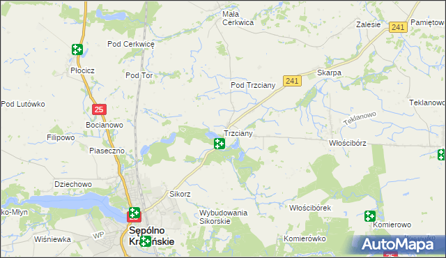 mapa Trzciany gmina Sępólno Krajeńskie, Trzciany gmina Sępólno Krajeńskie na mapie Targeo