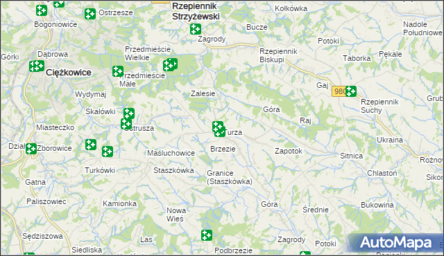 mapa Turza gmina Rzepiennik Strzyżewski, Turza gmina Rzepiennik Strzyżewski na mapie Targeo