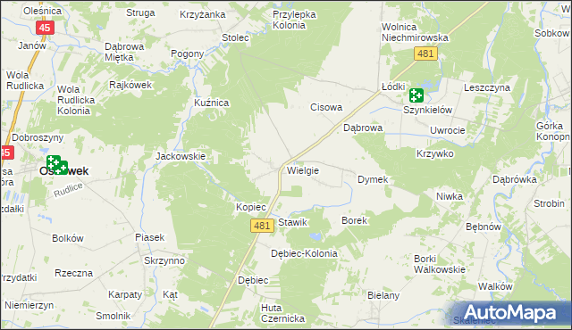 mapa Wielgie gmina Ostrówek, Wielgie gmina Ostrówek na mapie Targeo