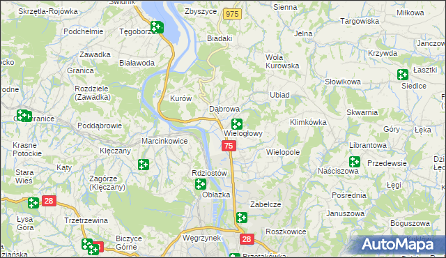 mapa Wielogłowy gmina Chełmiec, Wielogłowy gmina Chełmiec na mapie Targeo