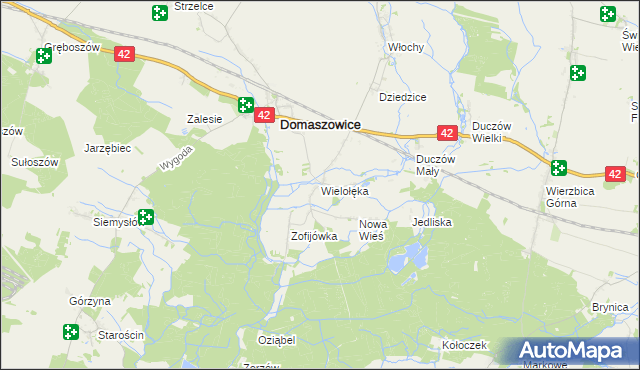 mapa Wielołęka gmina Domaszowice, Wielołęka gmina Domaszowice na mapie Targeo