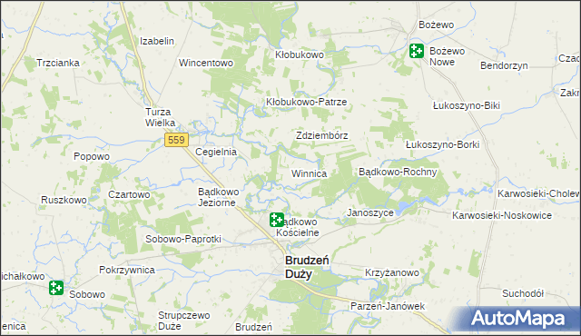 mapa Winnica gmina Brudzeń Duży, Winnica gmina Brudzeń Duży na mapie Targeo