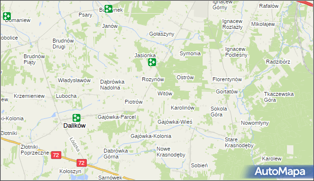 mapa Witów gmina Dalików, Witów gmina Dalików na mapie Targeo