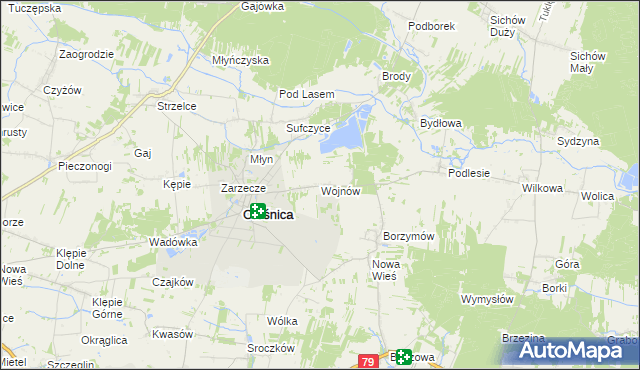 mapa Wojnów gmina Oleśnica, Wojnów gmina Oleśnica na mapie Targeo