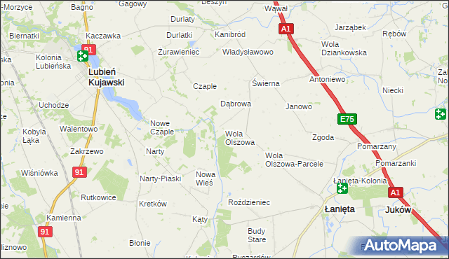 mapa Wola Olszowa, Wola Olszowa na mapie Targeo