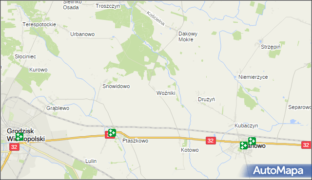 mapa Woźniki gmina Grodzisk Wielkopolski, Woźniki gmina Grodzisk Wielkopolski na mapie Targeo