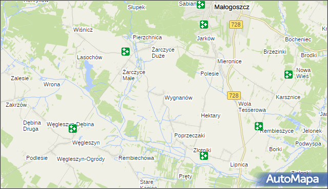 mapa Wygnanów gmina Małogoszcz, Wygnanów gmina Małogoszcz na mapie Targeo