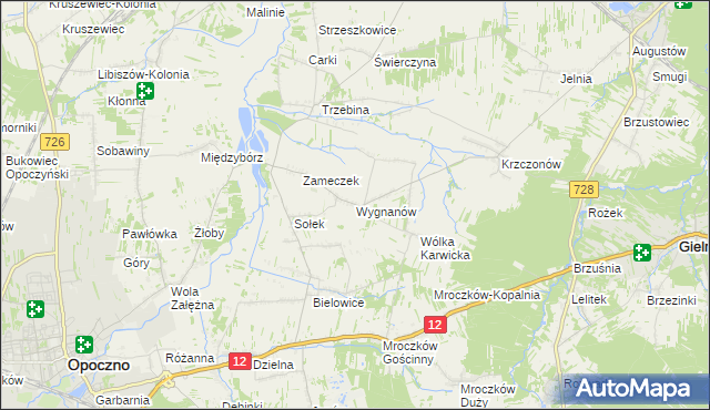 mapa Wygnanów gmina Opoczno, Wygnanów gmina Opoczno na mapie Targeo