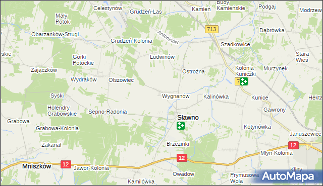 mapa Wygnanów gmina Sławno, Wygnanów gmina Sławno na mapie Targeo