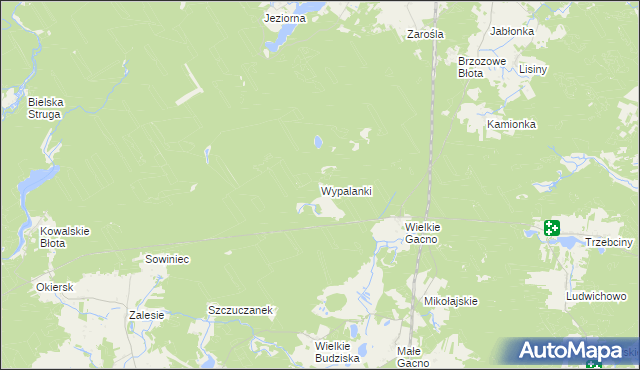 mapa Wypalanki gmina Śliwice, Wypalanki gmina Śliwice na mapie Targeo