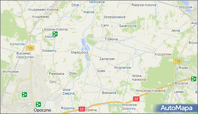 mapa Zameczek gmina Opoczno, Zameczek gmina Opoczno na mapie Targeo