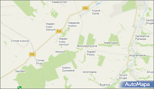 mapa Borkowszczyzna, Borkowszczyzna na mapie Targeo